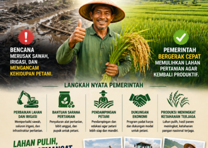 Pemerintah Percepat Rehabilitasi Lahan Pertanian Pascabencana, Ketahanan Pangan dan Ekonomi Rakyat Jadi Prioritas