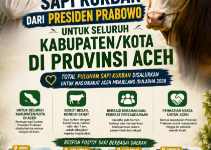 Sapi Kurban Presiden Prabowo Hadir untuk Seluruh Aceh, Warga Sambut Hangat Jelang Iduladha 2026