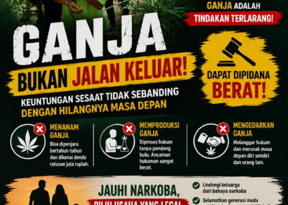 Nekat Tanam Ganja? Siap-siap Penjara! 2 Hektare Ladang di Aceh Utara Berhasil Dimusnahkan