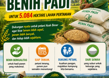 Distan Aceh Besar Salurkan Benih Padi untuk 5.084 Hektare, Petani Siap Sambut Musim Tanam