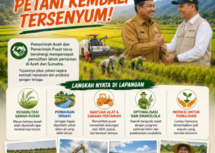 Aceh dan Pusat Bergerak Bersama, Pemulihan Sawah Dipercepat agar Petani Kembali Menanam