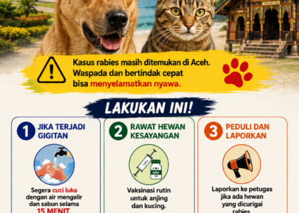 Waspada Rabies di Aceh, Penanganan Cepat Jadi Kunci Lindungi Masyarakat