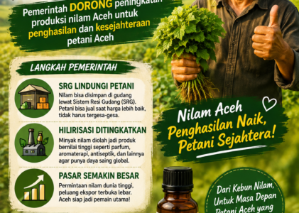 Nilam Aceh Naik Kelas, Petani Didorong Makin Sejahtera