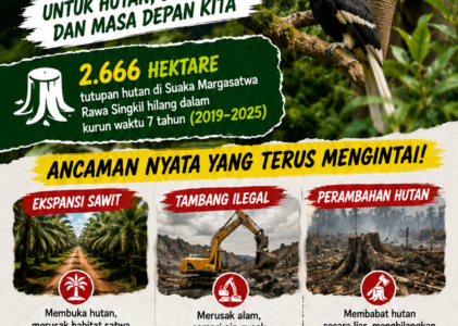 P2LH Ajak Jaga Rawa Singkil dari Sawit dan Tambang Ilegal