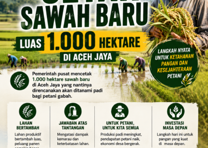 Pemerintah Pusat Cetak 1.000 Hektare Sawah Baru di Aceh Jaya, Harapan Baru untuk Petani dan Ketahanan Pangan