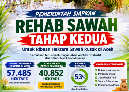 Pemerintah Siapkan Rehab Sawah Tahap Kedua, Ribuan Hektare Rusak Berat di Aceh Mulai Dicarikan Solusi